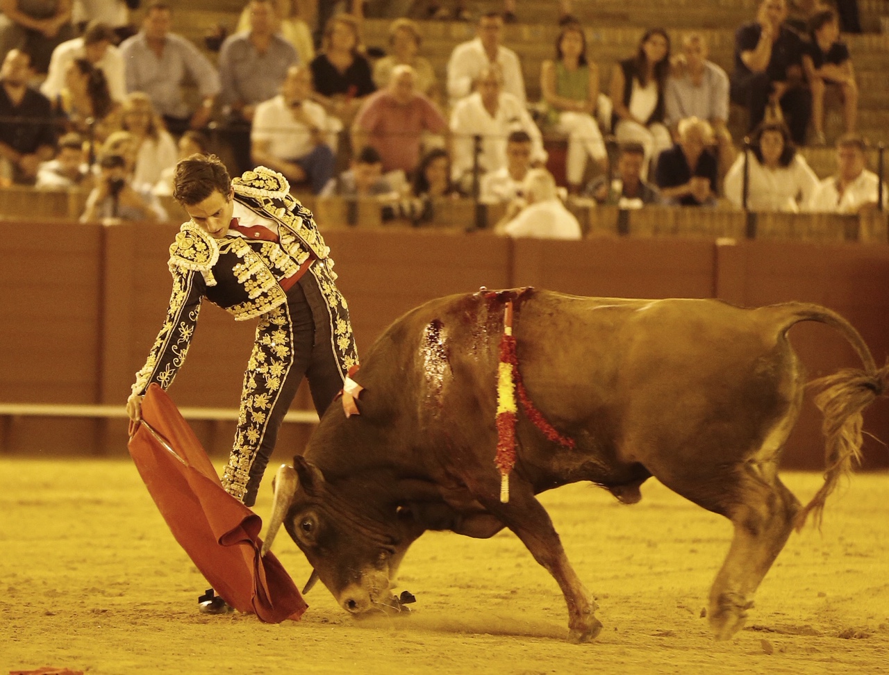 Sevilla, 18 de julio de 2019.