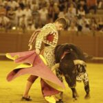 Sevilla, 18 de julio de 2019.