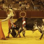 Sevilla, 18 de julio de 2019.