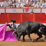 Santander. Miércoles 24 de julio de 2019.