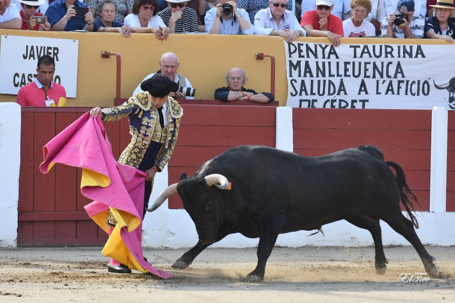 Ceret, sábado 13 de julio de 2019
