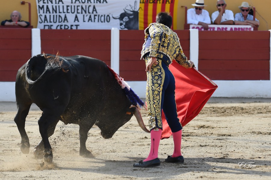 Ceret, sábado 13 de julio de 2019