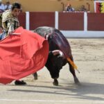 Ceret, sábado 13 de julio de 2019
