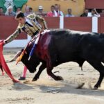 Ceret, sábado 13 de julio de 2019