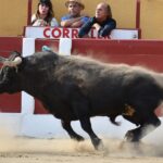 Ceret, sábado 13 de julio de 2019