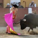 Ceret, sábado 13 de julio de 2019