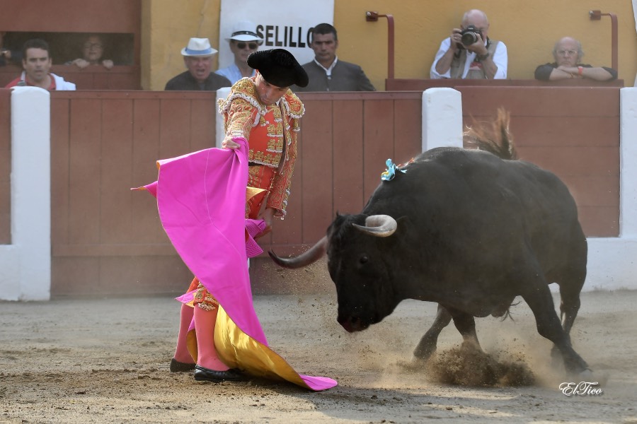 Ceret, sábado 13 de julio de 2019