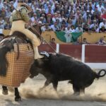 Ceret, sábado 13 de julio de 2019