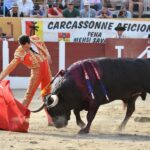 Ceret, sábado 13 de julio de 2019