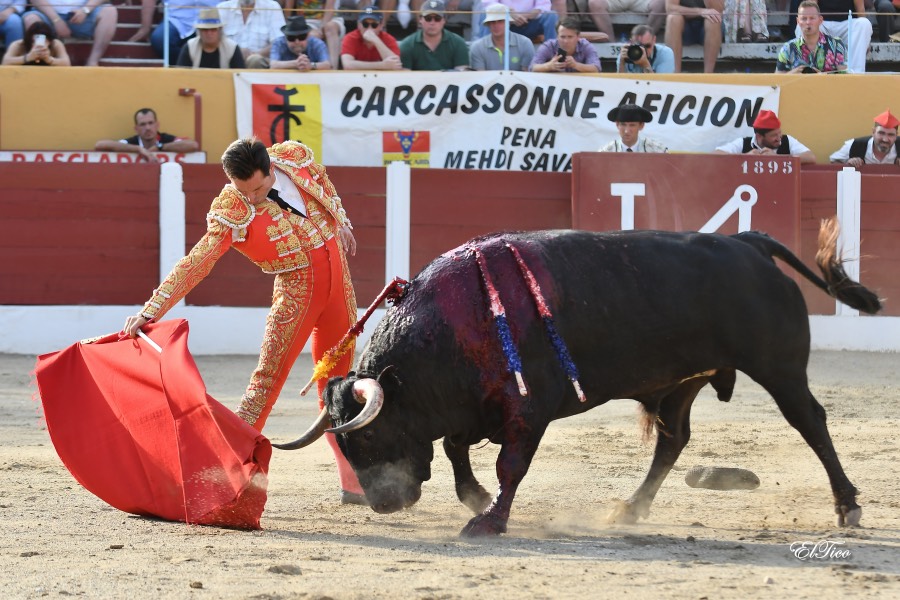 Ceret, sábado 13 de julio de 2019