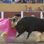 Ceret, sábado 13 de julio de 2019