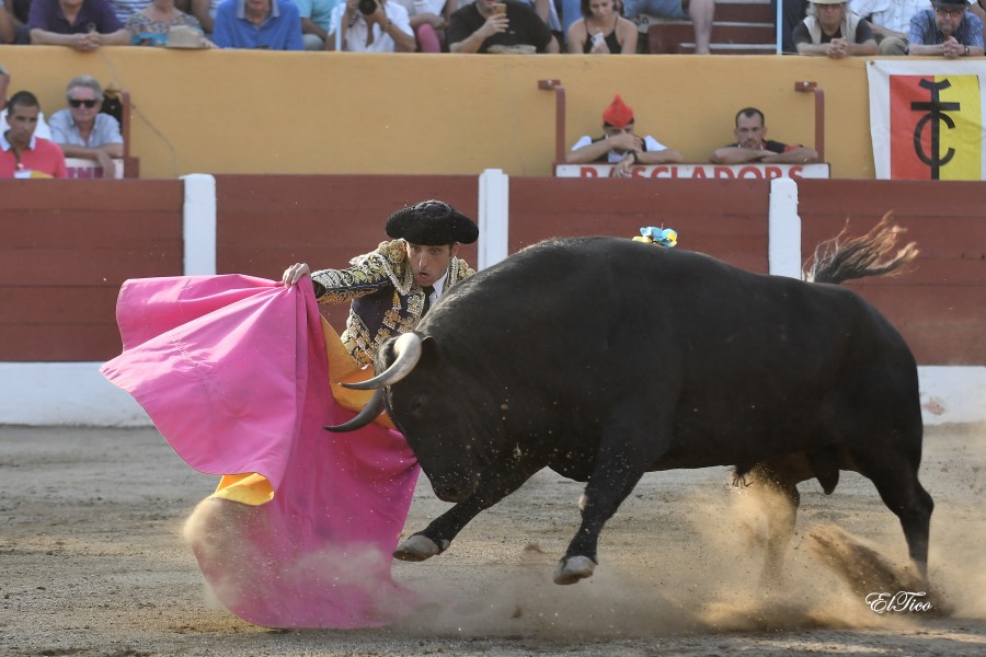 Ceret, sábado 13 de julio de 2019