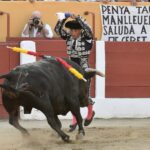 Ceret, sábado 13 de julio de 2019