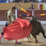 Ceret, sábado 13 de julio de 2019