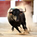 Ceret, sábado 13 de julio de 2019