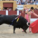 Ceret, sábado 13 de julio de 2019