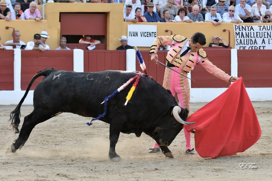 Ceret, sábado 13 de julio de 2019