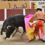 Ceret, sábado 13 de julio de 2019