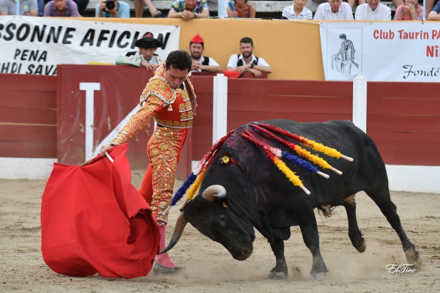 Ceret, sábado 13 de julio de 2019