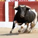 Ceret, domingo 14 de julio de 2019. Matinal