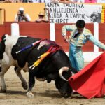 Ceret, domingo 14 de julio de 2019. Matinal