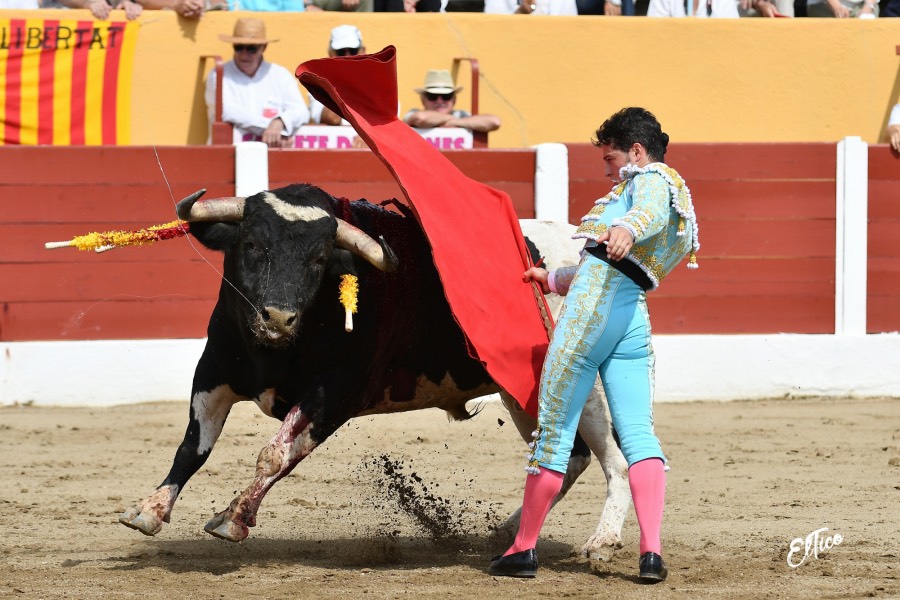 Ceret, domingo 14 de julio de 2019. Matinal