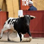 Ceret, domingo 14 de julio de 2019. Matinal