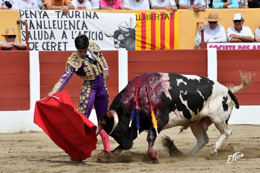 Ceret, domingo 14 de julio de 2019. Matinal