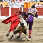 Ceret, domingo 14 de julio de 2019. Matinal