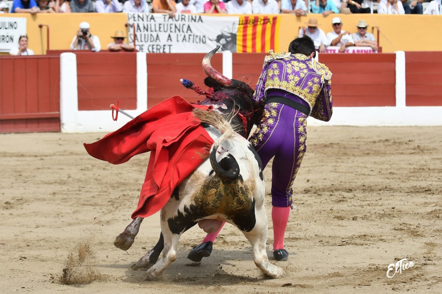Ceret, domingo 14 de julio de 2019. Matinal