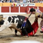 Ceret, domingo 14 de julio de 2019. Matinal