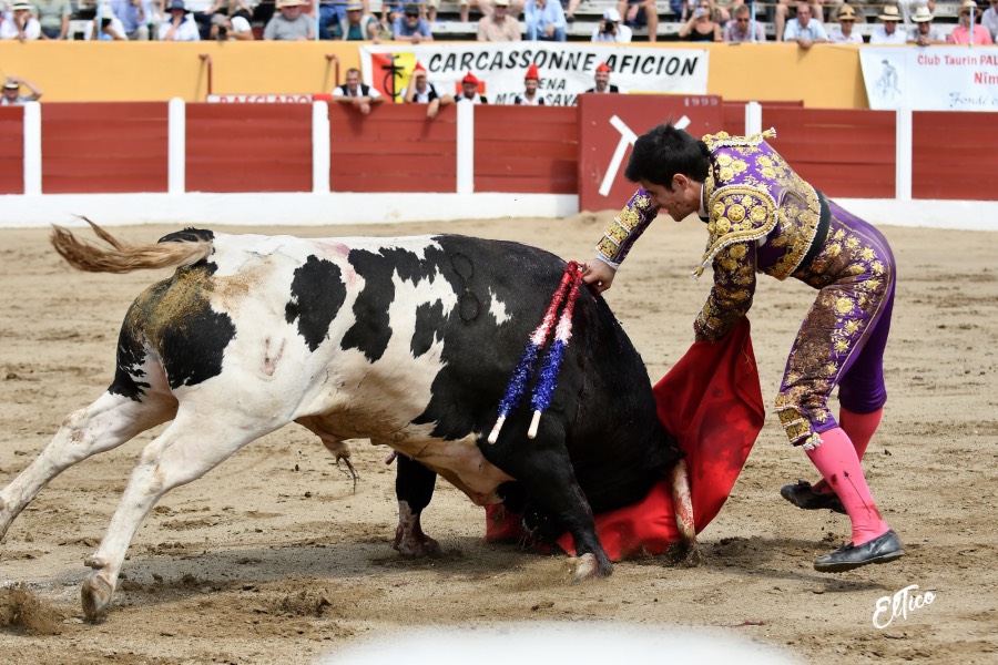 Ceret, domingo 14 de julio de 2019. Matinal