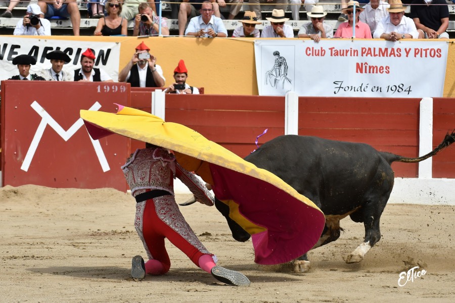 Ceret, domingo 14 de julio de 2019. Matinal