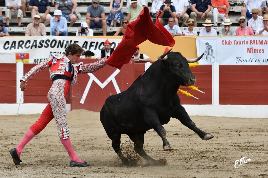 Ceret, domingo 14 de julio de 2019. Matinal