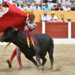 Ceret, domingo 14 de julio de 2019. Matinal