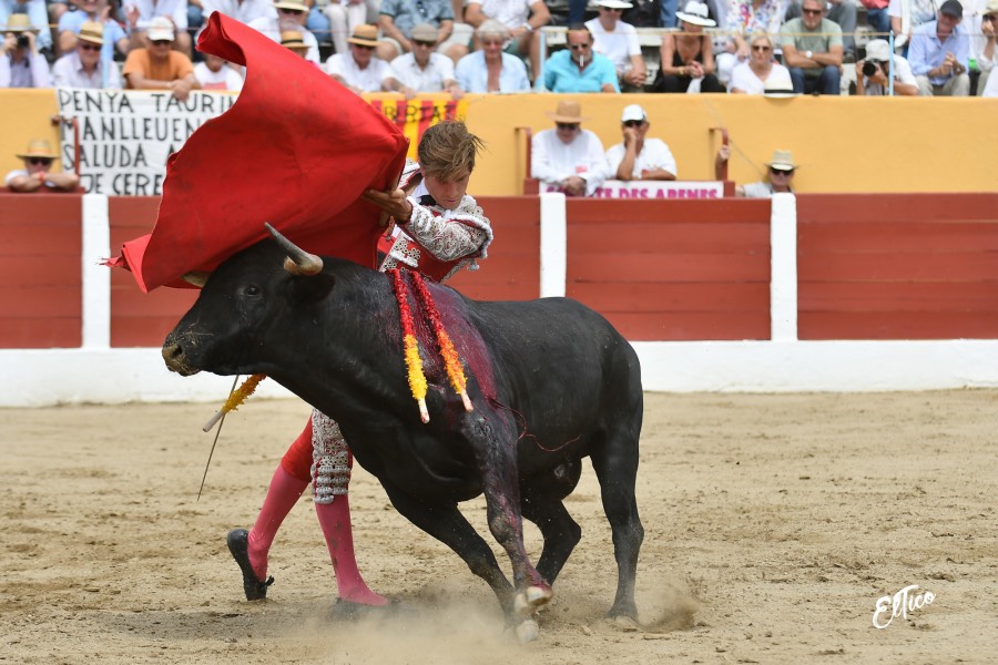 Ceret, domingo 14 de julio de 2019. Matinal