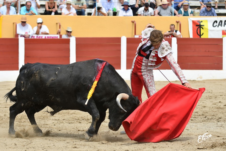 Ceret, domingo 14 de julio de 2019. Matinal