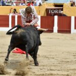 Ceret, domingo 14 de julio de 2019. Matinal