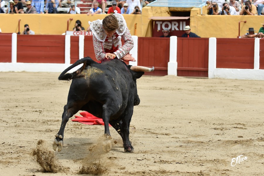 Ceret, domingo 14 de julio de 2019. Matinal