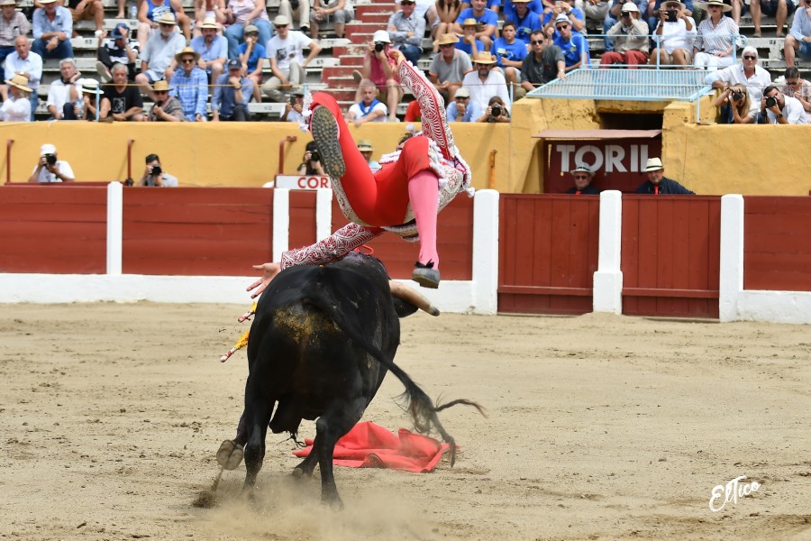 Ceret, domingo 14 de julio de 2019. Matinal