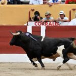 Ceret, domingo 14 de julio de 2019. Matinal