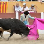 Ceret, domingo 14 de julio de 2019. Matinal