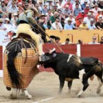 Ceret, domingo 14 de julio de 2019. Matinal