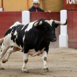 Ceret, domingo 14 de julio de 2019. Matinal
