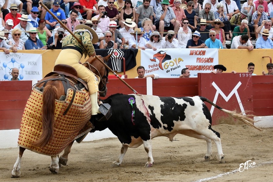 Ceret, domingo 14 de julio de 2019. Matinal