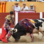 Ceret, domingo 14 de julio de 2019. Matinal