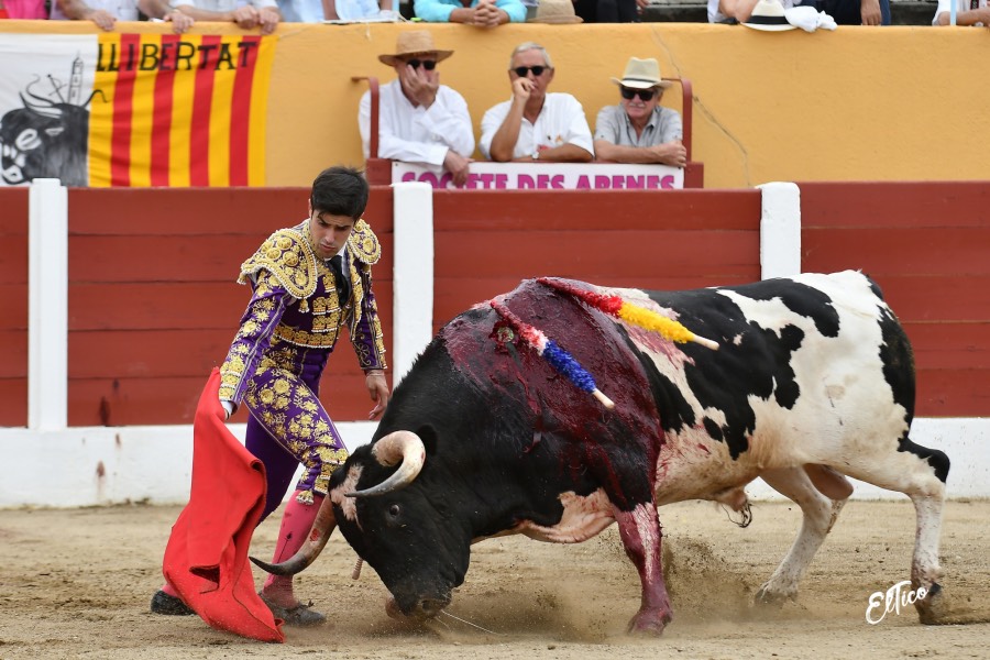 Ceret, domingo 14 de julio de 2019. Matinal