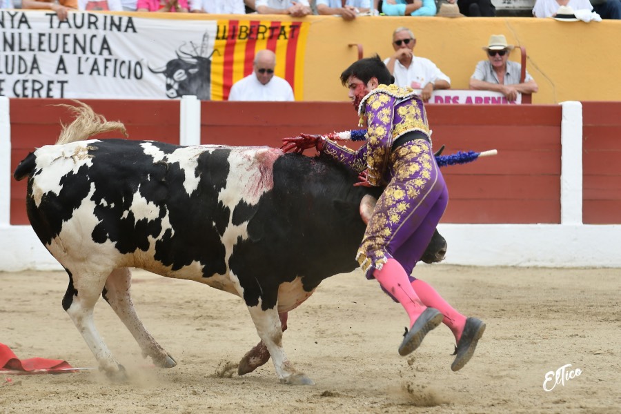 Ceret, domingo 14 de julio de 2019. Matinal