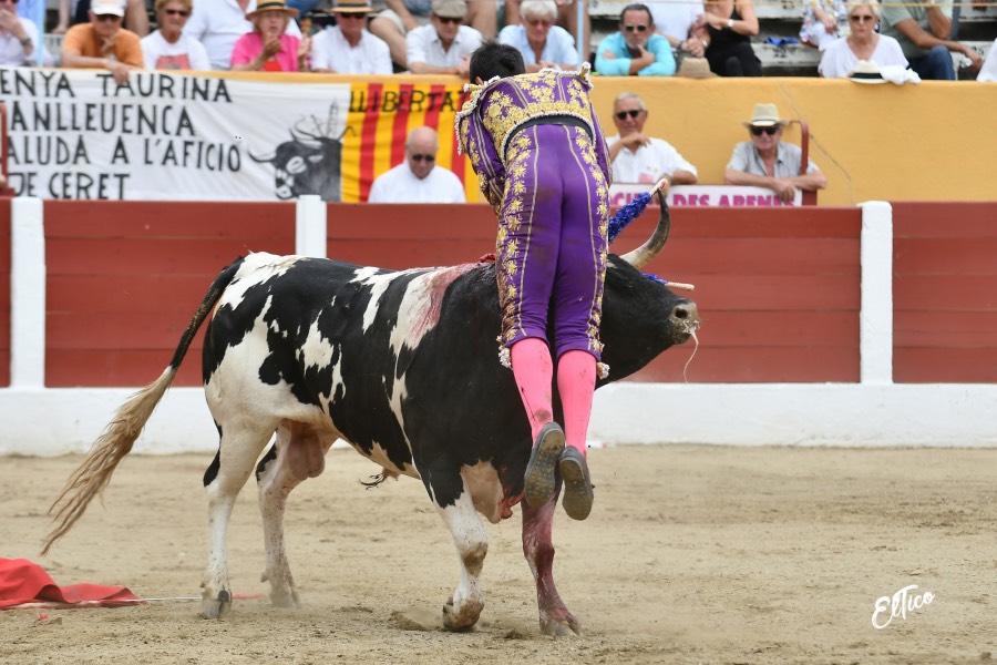 Ceret, domingo 14 de julio de 2019. Matinal