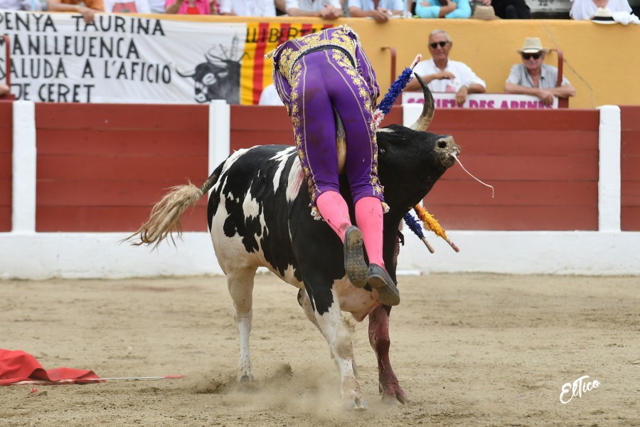 Ceret, domingo 14 de julio de 2019. Matinal